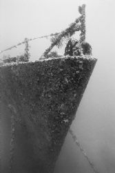 Where's Waldo?(actually Pam) On the Bow of the Spiegel Grove by Michael Sacito 